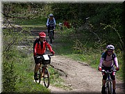 0270-Camino - Alto de Erro a Zubiri.JPG