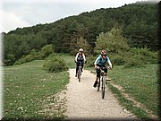 0415-Camino-Hacia Pamplona.jpg