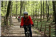 0425-Camino-Hacia Pamplona.jpg