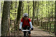 0430-Camino-Hacia Pamplona.jpg