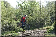 0440-Camino-Hacia Pamplona.jpg