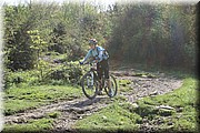 0445-Camino-Hacia Pamplona.jpg
