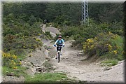 0540-Camino-Hacia Pamplona.jpg