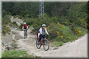 0560-Camino-Hacia Pamplona.jpg