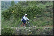 0600-Camino-Hacia Pamplona.jpg