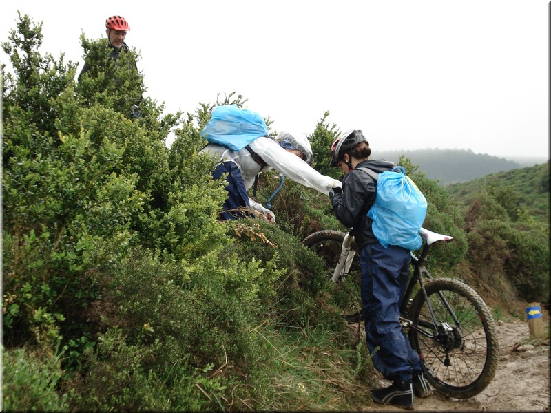 0831-Camino-Subida-Puerto-del-Perdon.jpg