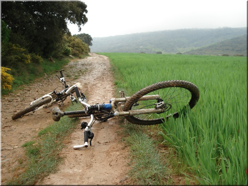 0980-Camino - Bajada a Uterga.jpg