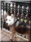 0630-Camino-Queen.jpg