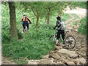 0790-Camino- Hacia el puerto del Perdon.jpg