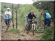 0960-Camino - Bajada a Uterga.jpg