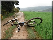 0980-Camino - Bajada a Uterga.jpg