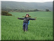 0990-Camino - Bajada a Uterga.jpg