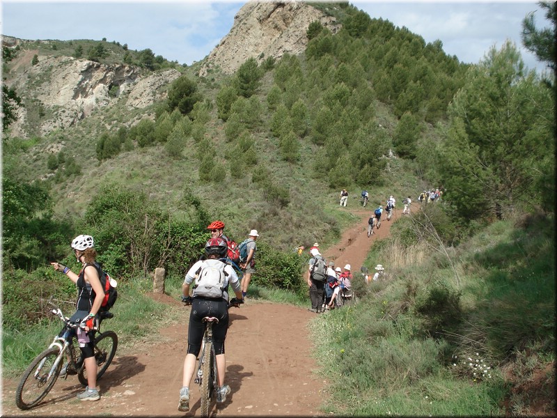 1150-Camino- De Puente a Cirauqui.jpg