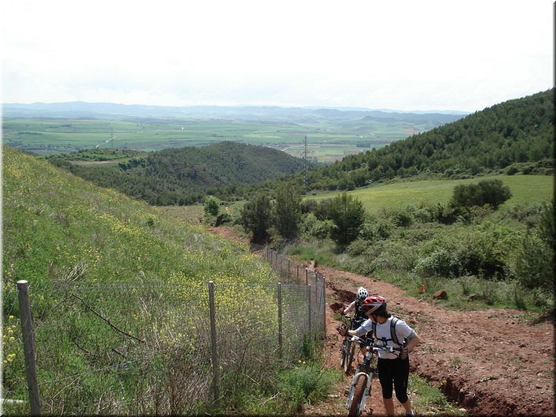 1170-Camino- De Puente a Cirauqui.jpg