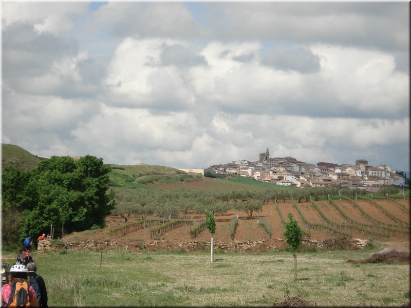 1180-Camino- De Puente a Cirauqui.jpg