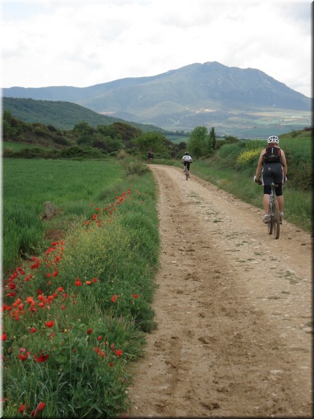 1200-Camino- De Cirauqui a Estella.jpg
