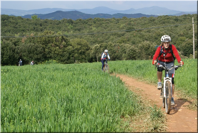 1372-Camino- Irache a Villamayor.jpg