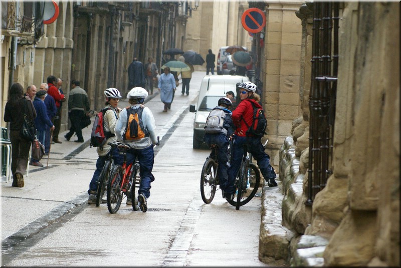 1570-Camino-Viana.jpg