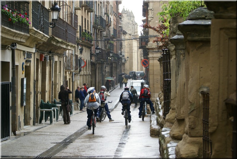 1580-Camino-Viana.jpg