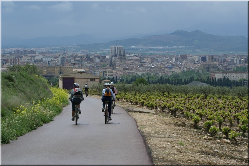 1590-Camino-Hacia  Logroño.jpg