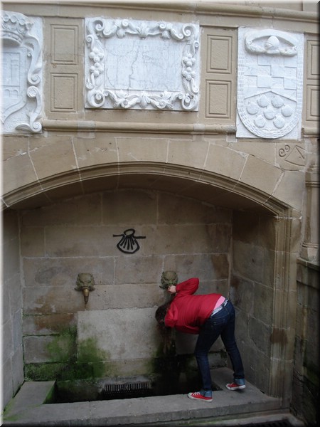 1594-Camino- Logroño.jpg