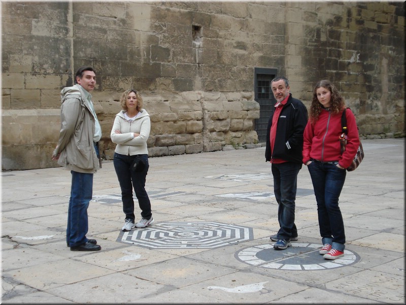 1599--Camino-Logroño.jpg
