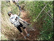 1160-Camino De Puente a Cirauqui.jpg