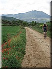 1200-Camino- De Cirauqui a Estella.jpg