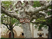 1350-Camino- Monasterio de Irache.jpg