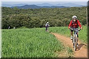 1372-Camino- Irache a Villamayor.jpg