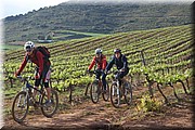 1510-Camino-Villamayor a Los Arcos.jpg