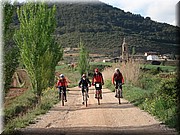 1520-Camino-Villamayor a Los Arcos.jpg