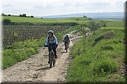 1551-Camino07-4 (3) Hacia Viana.jpg