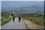 1590-Camino-Hacia  Logroño.jpg