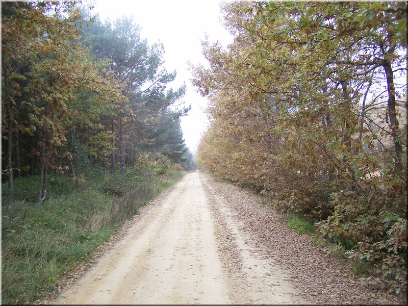 0949-Montes de Burgos.JPG