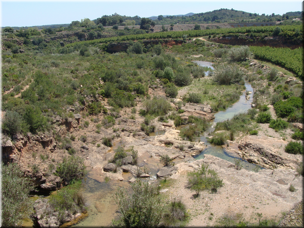 031-Camino de Sagunto.png