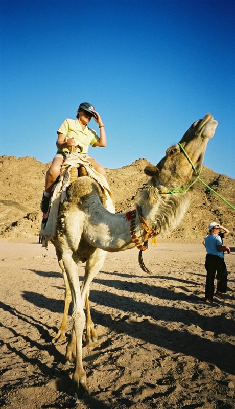 745_11-Desierto-Paseo-en-camello.JPG