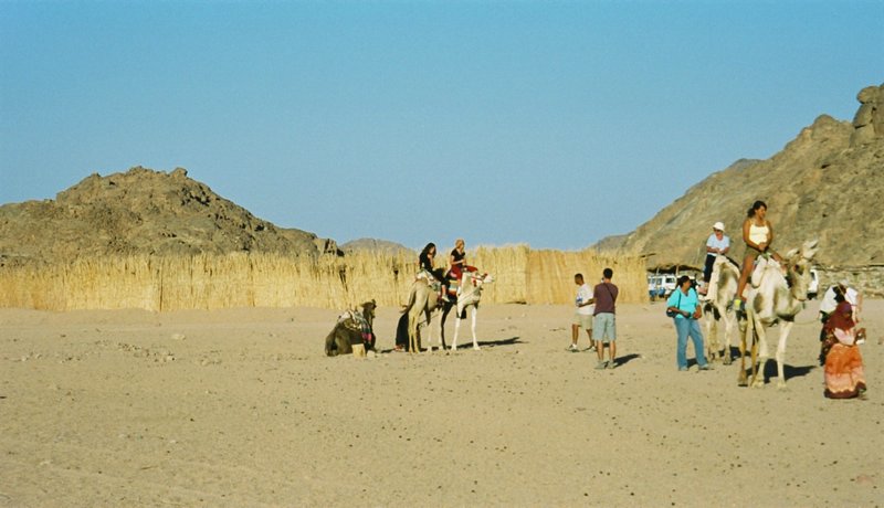 745_7-Desierto-Paseo-en-camello.JPG