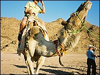 745_11-Desierto-Paseo-en-camello.JPG
