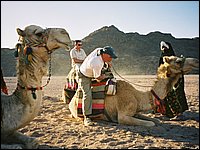 745_5-Desierto-Paseo_en_camello.JPG