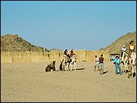 745_7-Desierto-Paseo-en-camello.JPG