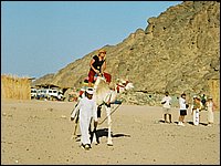 745_8-Desierto-Paseo-en-camello.JPG