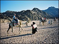 745_9-Desierto-Paseo-en-camello.JPG