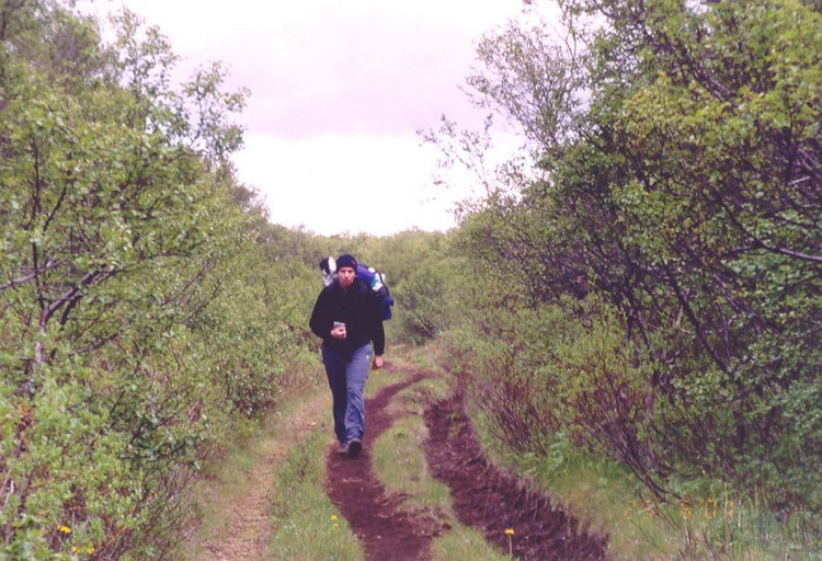 700-Bosque-de-Thorsmork-b.jpg