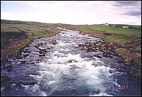 954-Rio_b.jpg
