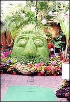 955-Troll_b.jpg