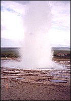 960-Geiser_01_b.jpg