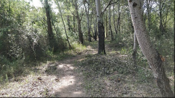 2019-06-06_10-58-04.jpg