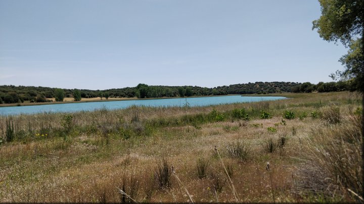 2019-06-06_13-09-10.jpg