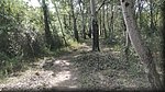 2019-06-06_10-58-04.jpg